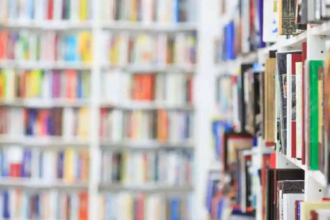 Sample of a Successful Literature Review for a Research Paper