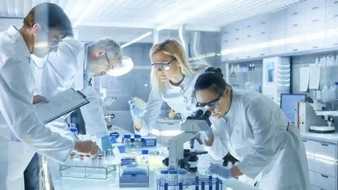 7 Steps for Writing a Scientific Report To Share Research Results