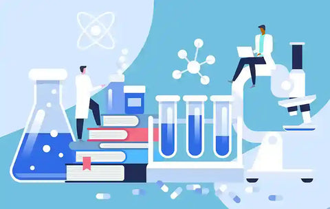 How To Write the Findings Section of a Research Paper - Proof-Reading-Service.com