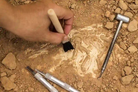 A Guide to Effective Archaeological Writing for Journals and Coursework - Proof-Reading-Service.com