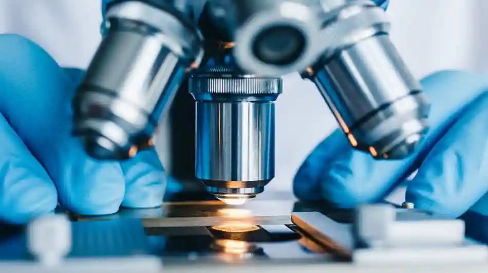 How To Write an Effective Figure Legend for a Laboratory Report – Proof ...
