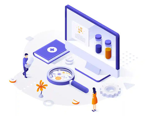 The Process of Publishing a Research Paper in a Journal