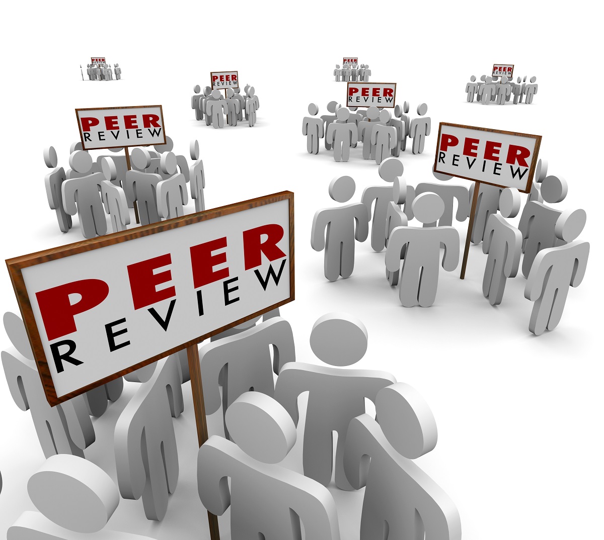What You Should Not Do While Writing a Peer Review