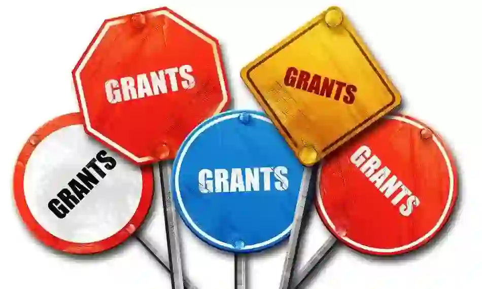 Grant Application Proofreading Services